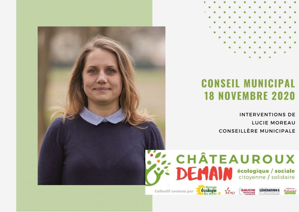 Read more about the article Les interventions de Lucie Moreau lors du conseil municipal du 18 novembre 2020