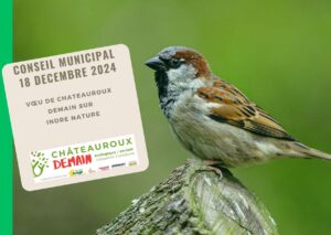 Lire la suite à propos de l’article Conseil municipal 18 décembre 2024 – Vœu de Châteauroux Demain sur Indre Nature